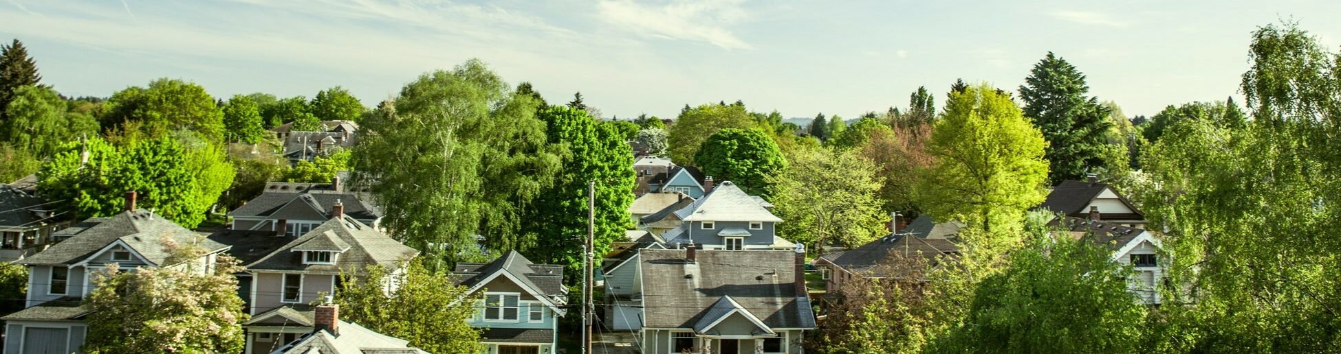 SE Portland trees and houses